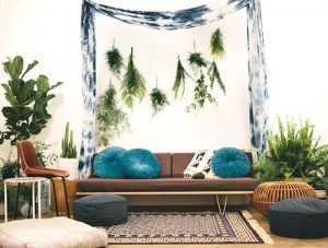 Boho interior photo of a couch with blue circle pillows, plants on either side, and a draped piece of fabric above the furniture. 
