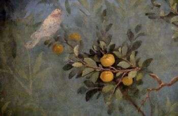 Fresco from the triclinium of the villa of Livia, wife of the Emperor Augustus, 30-20 BCE; Palazzo Massimo alle Terme, Rome: Wall painting of a white bird (left) sitting on a tree branch. The branch has various yellow-colored fruit. 