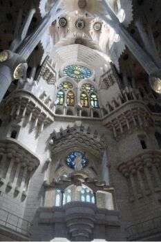 Interior of Sagrada Familia: A grand space with white interior that grows skinny the higher the structure goes. 