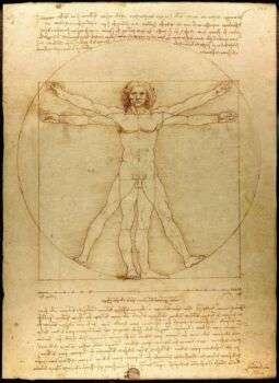 L'Uomo Vitruviano, di Leonardo da Vinci.